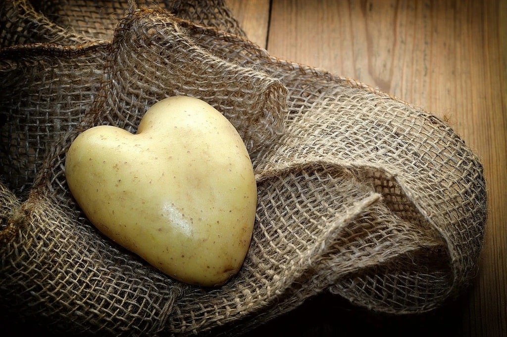 Pourquoi intégrer la pomme de terre dans l'alimentation des coureurs ?